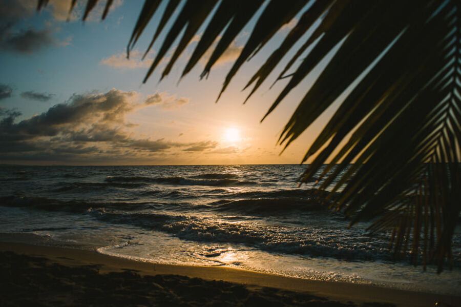 Descripción de la imagen 73